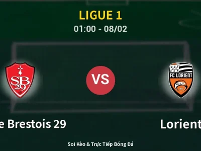 Kết Quả: Stade Brestois 29 2-0 Lorient – Highlight & Bàn Thắng | Ligue 1