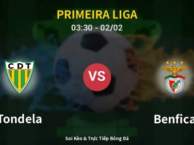 Kết Quả: Tondela 0-0 Benfica – Highlight & Bàn Thắng | Primeira Liga