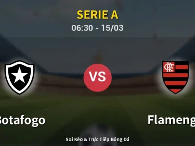 Kết Quả: Botafogo 0-3 Flamengo – Highlight & Bàn Thắng | Serie A
