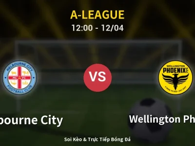 Kết Quả: Melbourne City 2-0 Wellington Phoenix – Highlight & Bàn Thắng | A-League